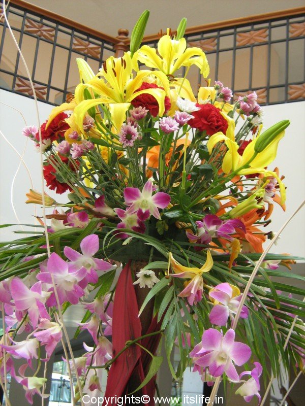 Cut Flower Arrangements