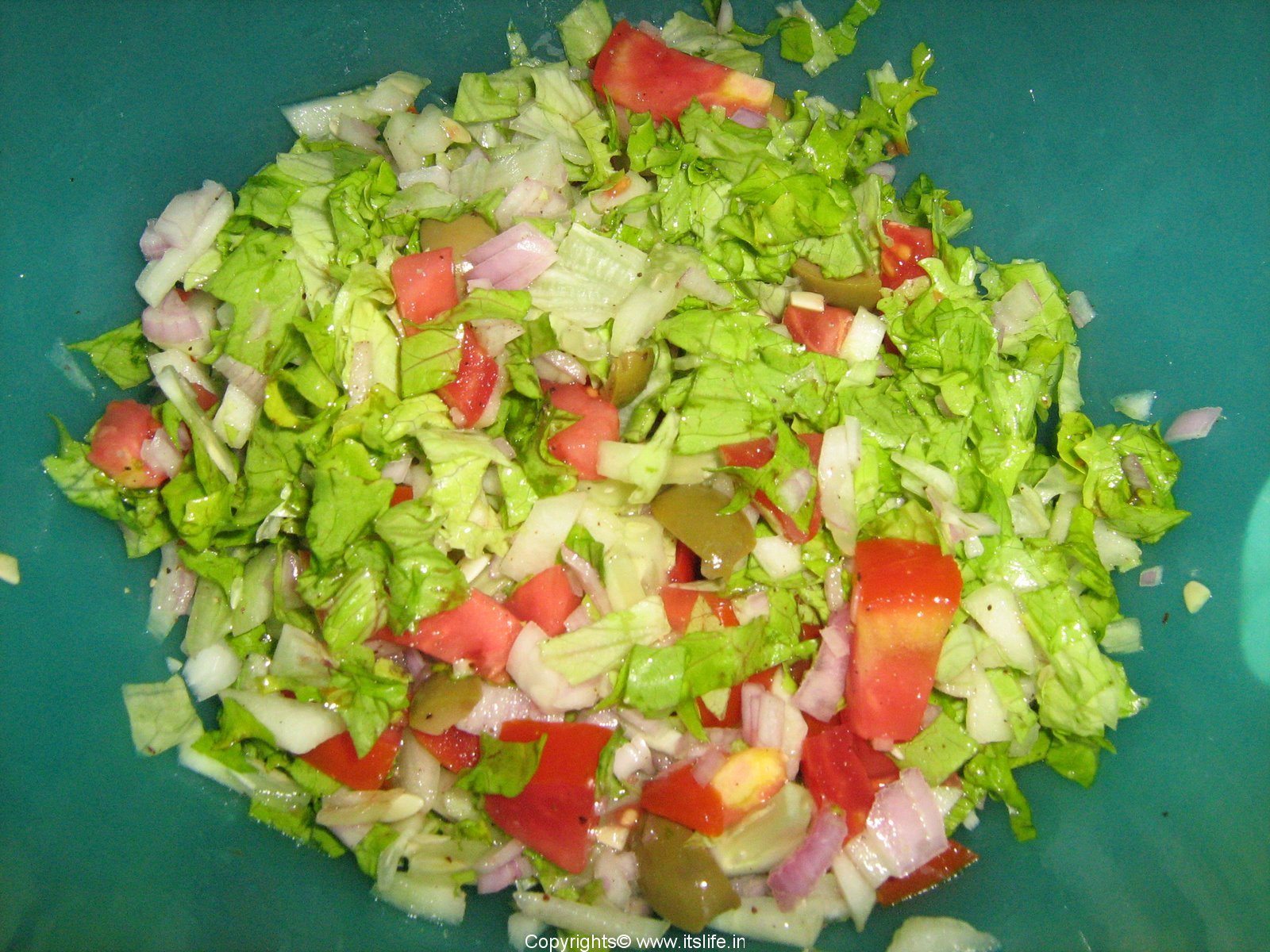 lettuce salad fashion