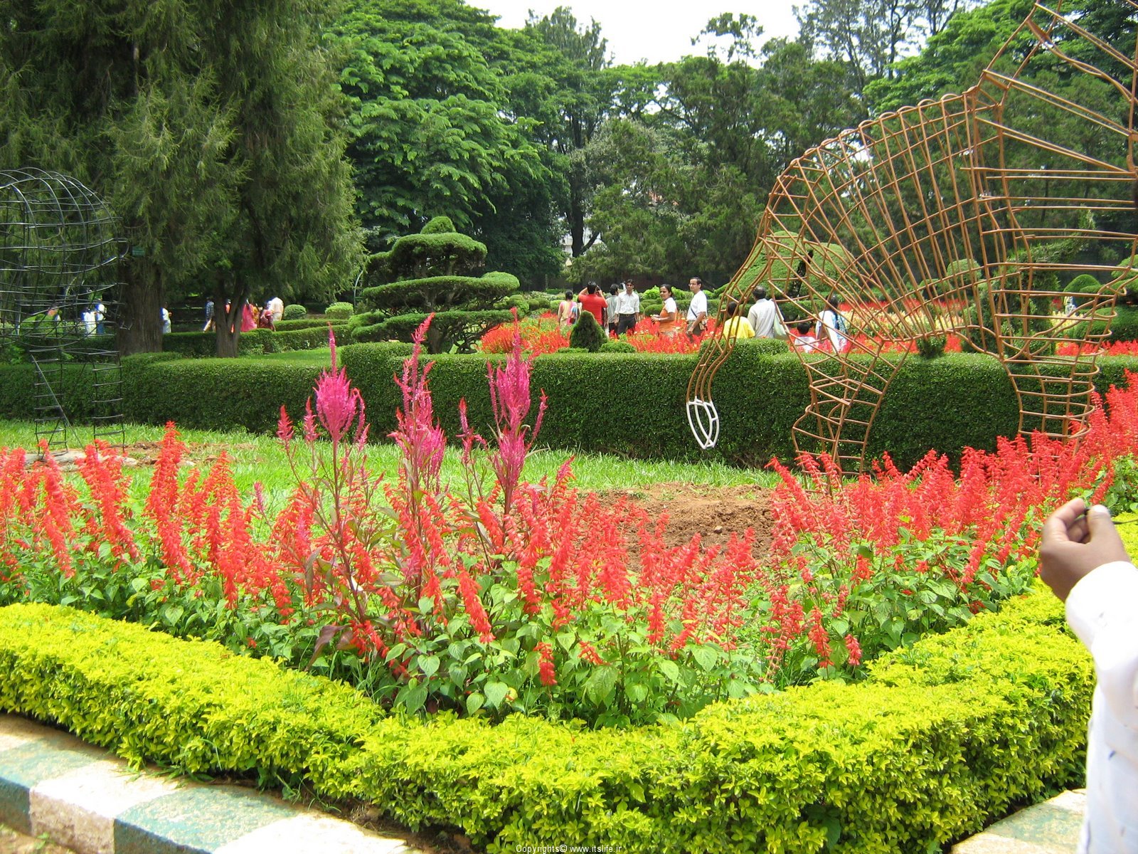 Lalbagh+images