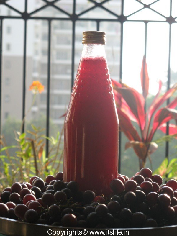 Grape Juice Recipe Drinks Preservation of Fruits How to make Grape Squash