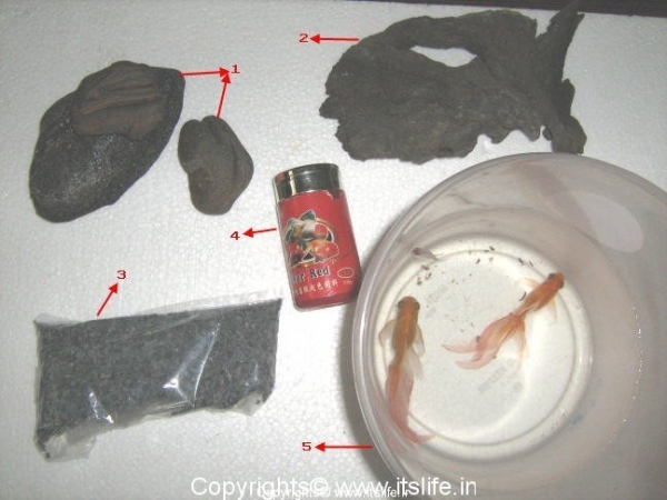 Additional items for an Aquarium