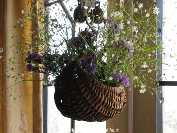 Hanging Basket Arrangement