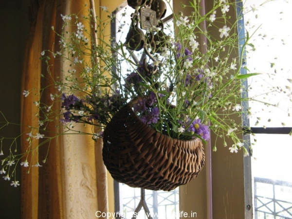 Hanging Basket Arrangement