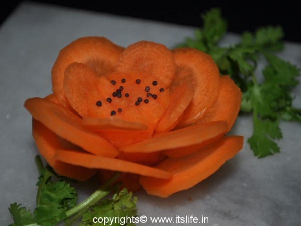 Carrot Flower