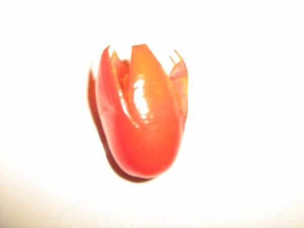 Cherry Tomato Carving