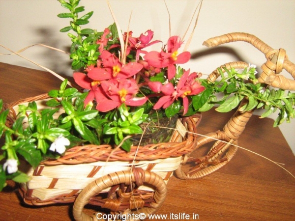 Cart Flower Arrangement