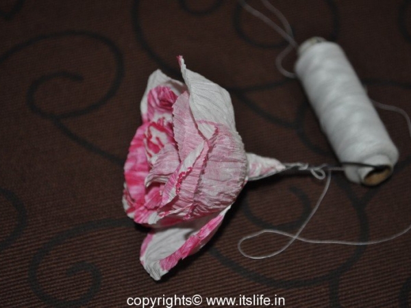 Roses made using Crepe paper
