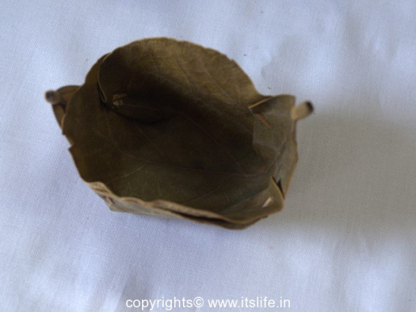 Palash Leaves Cup Making