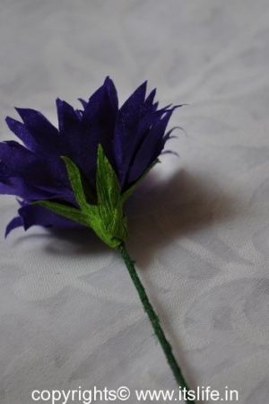 Aster flowers using Paper