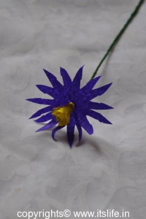 Aster Flowers using Paper