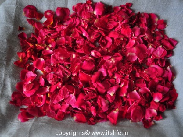 Drying Rose Petals