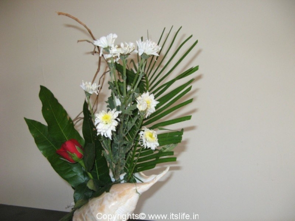 Shell arrangement - Sogetsu