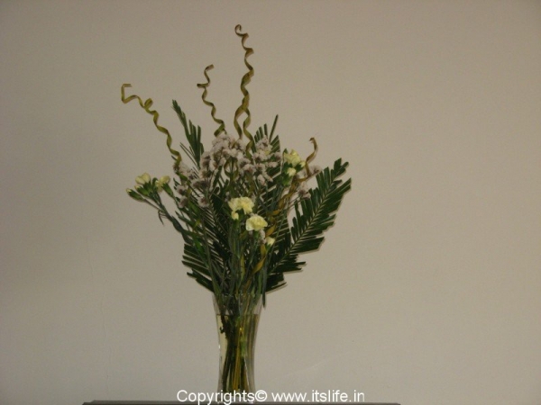 Flower Arrangement in a tall vase