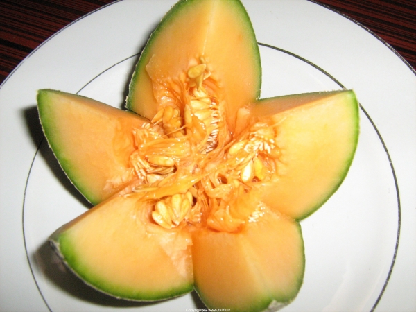 do-it-yourself-musk-melon-flower