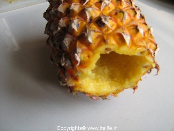 pineapple-lamp