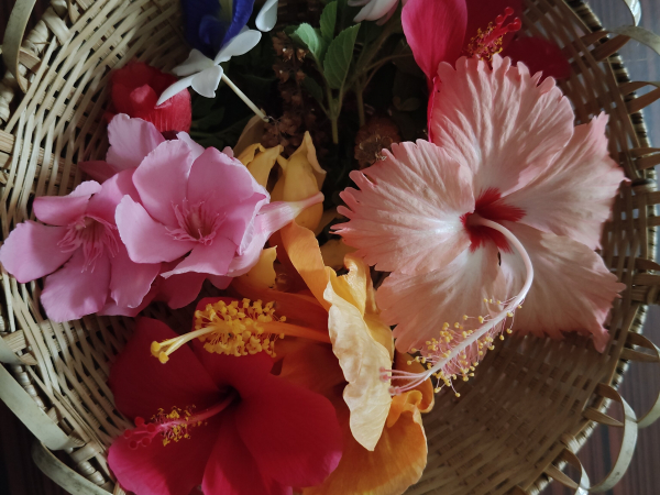Festival flowers