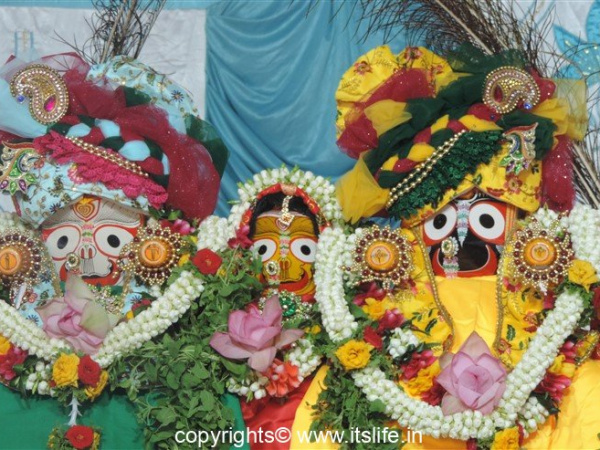 Lord Jaganath Rath Yatra