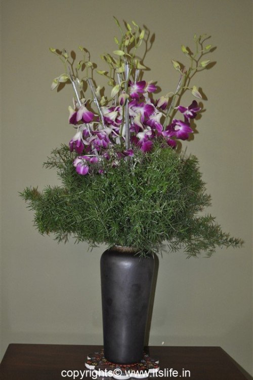 Orchid arrangement