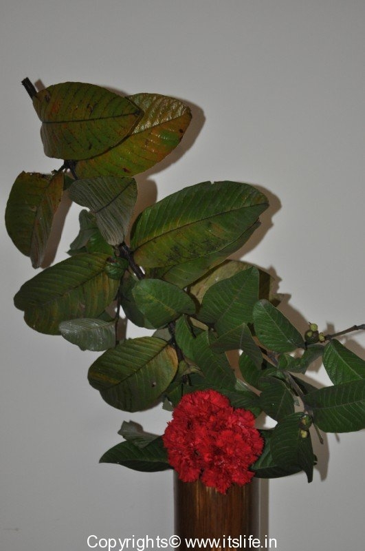 Inverted Flower Arrangement