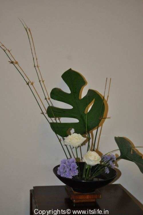 Flower Arrangement - Melting Pot