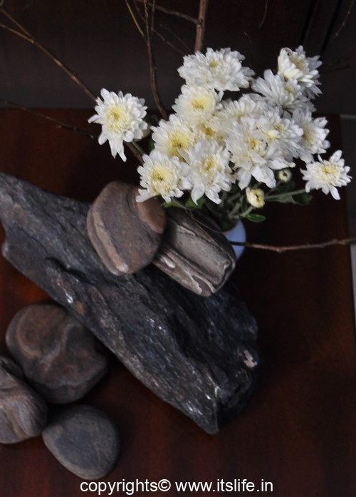 Flower Arrangement – Rock Solid