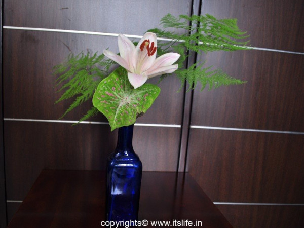 Flower Arrangement – Solitaire