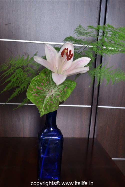 Flower Arrangement – Solitaire