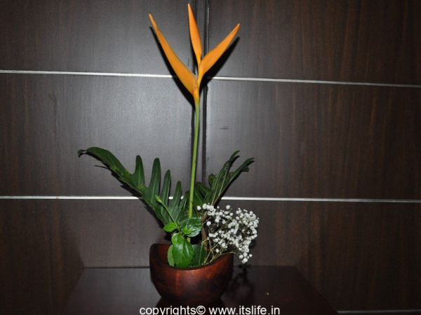 Ikebana