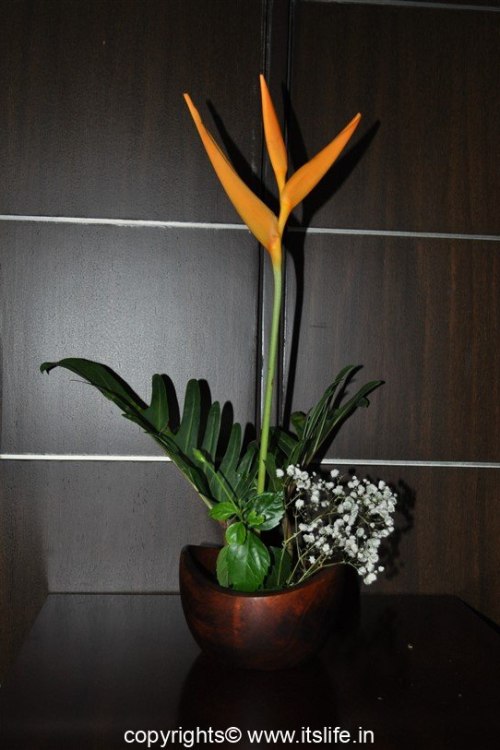 Flower arrangement