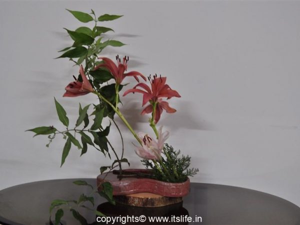 Flower arrangement - Windy