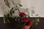 Carnation arrangement
