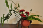 Carnation arrangement