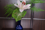 Flower Arrangement – Solitaire