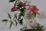 Flower arrangement - Windy
