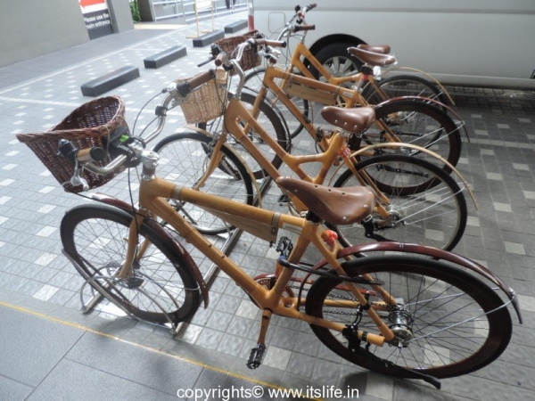 Bamboo Cycles