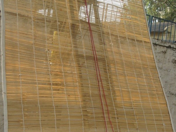 Bamboo Screen