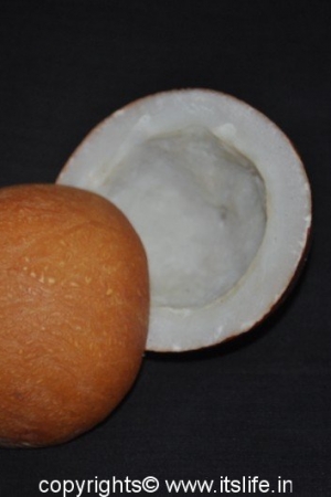 Dry Coconut - Copra - Khobbari