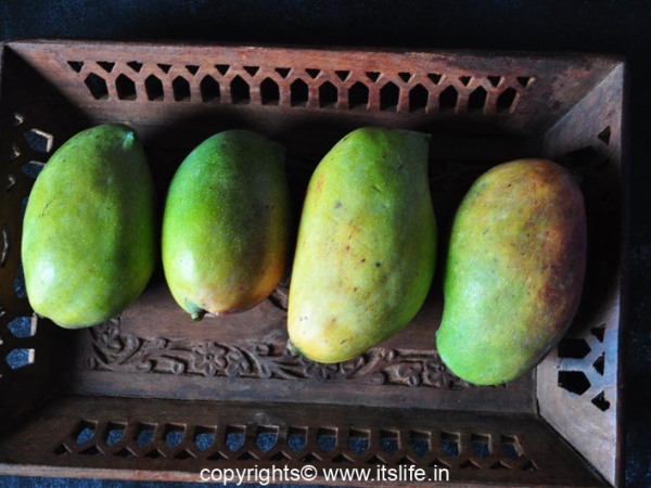 Country Mangoes