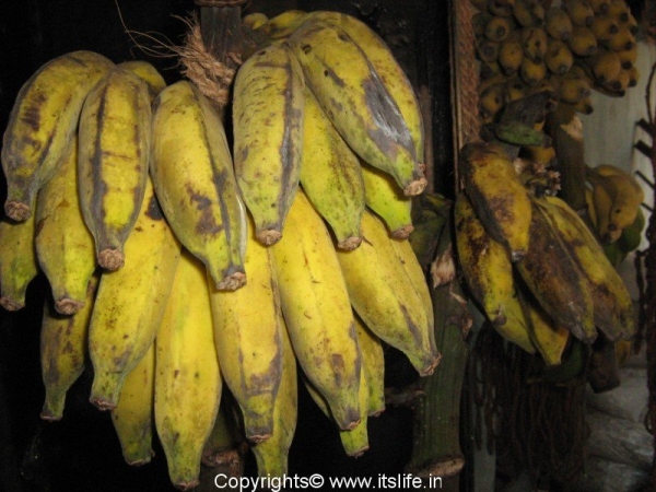Banana - Karibale