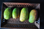 Country Mangoes