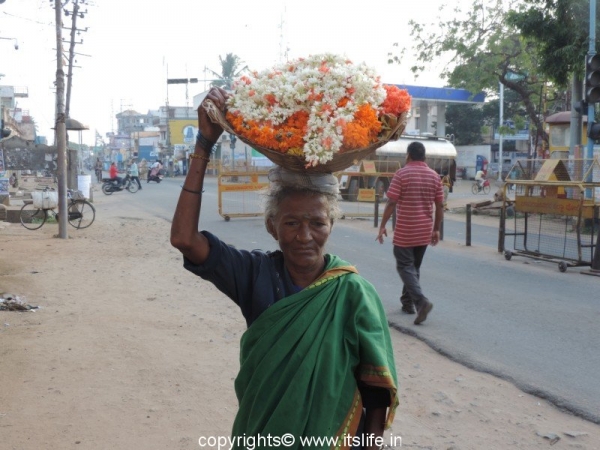 Flower woman - Chamarajanagara