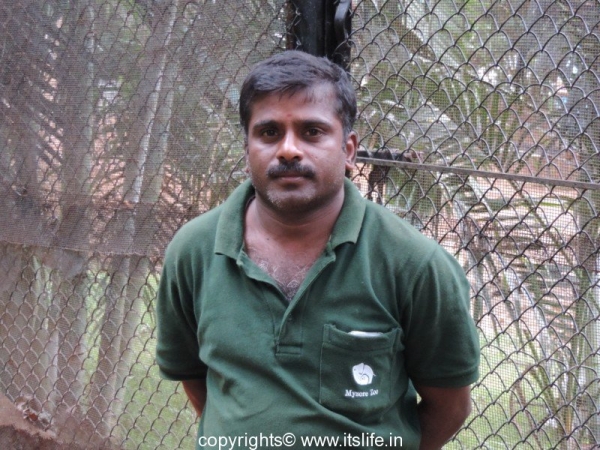 Ravi Kumar