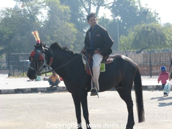 Horse rider in Jaipur