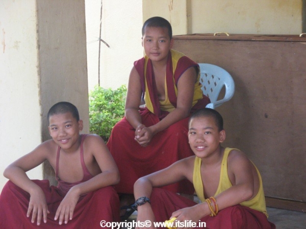 Young Monks