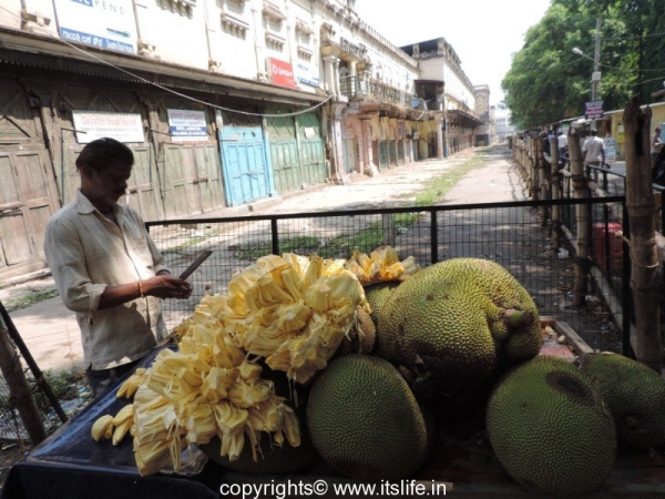 Jackfruit Vendor in Mysore