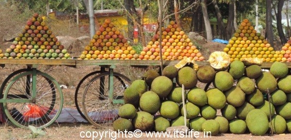 Mango and Jackfruit season