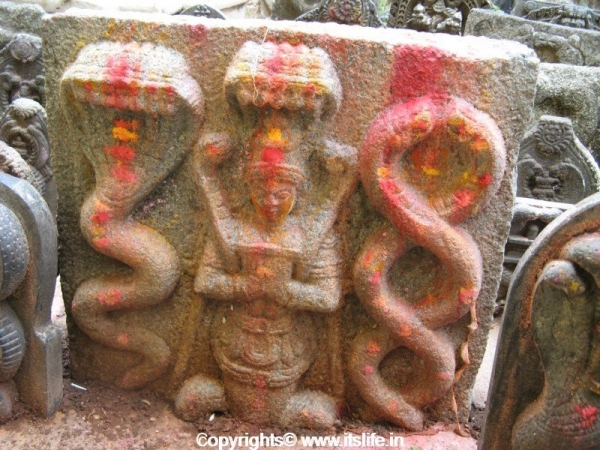 Naga Bana - T.Narasipura