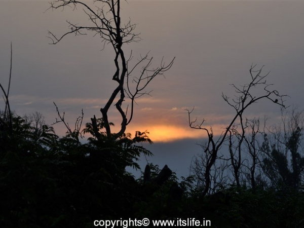Sunset in Bandipur