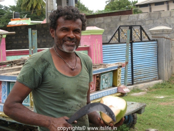 Coconut vendor in Nanjanagudu
