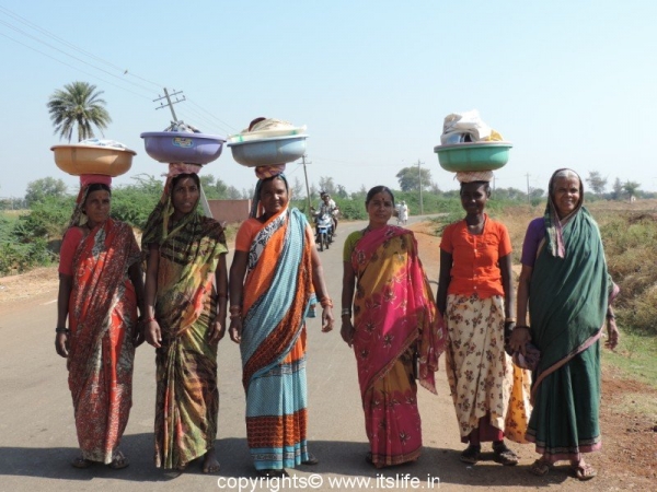Women off to work to the fields